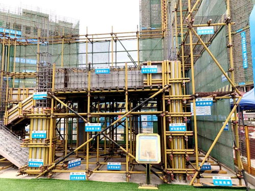 广西建设工程安全生产管理现场观摩会暨广西建工集团 安全生产月 和 安全生产八桂行 活动启动仪式在公司项目成功举行