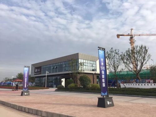 工程进度 碧桂园智造创新中心建设如火如荼